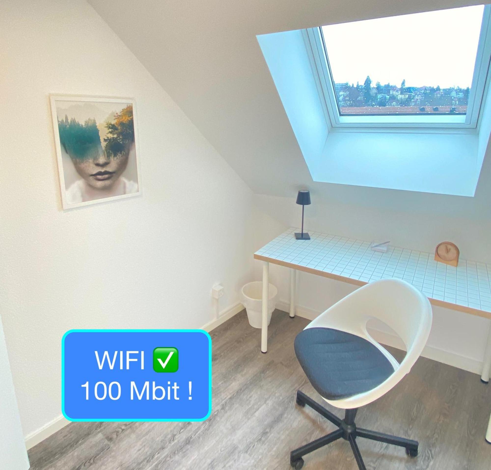 Ruhige, Neue Dachwohnung An Altstadt, Naehe Messe St. Gallen Exteriör bild