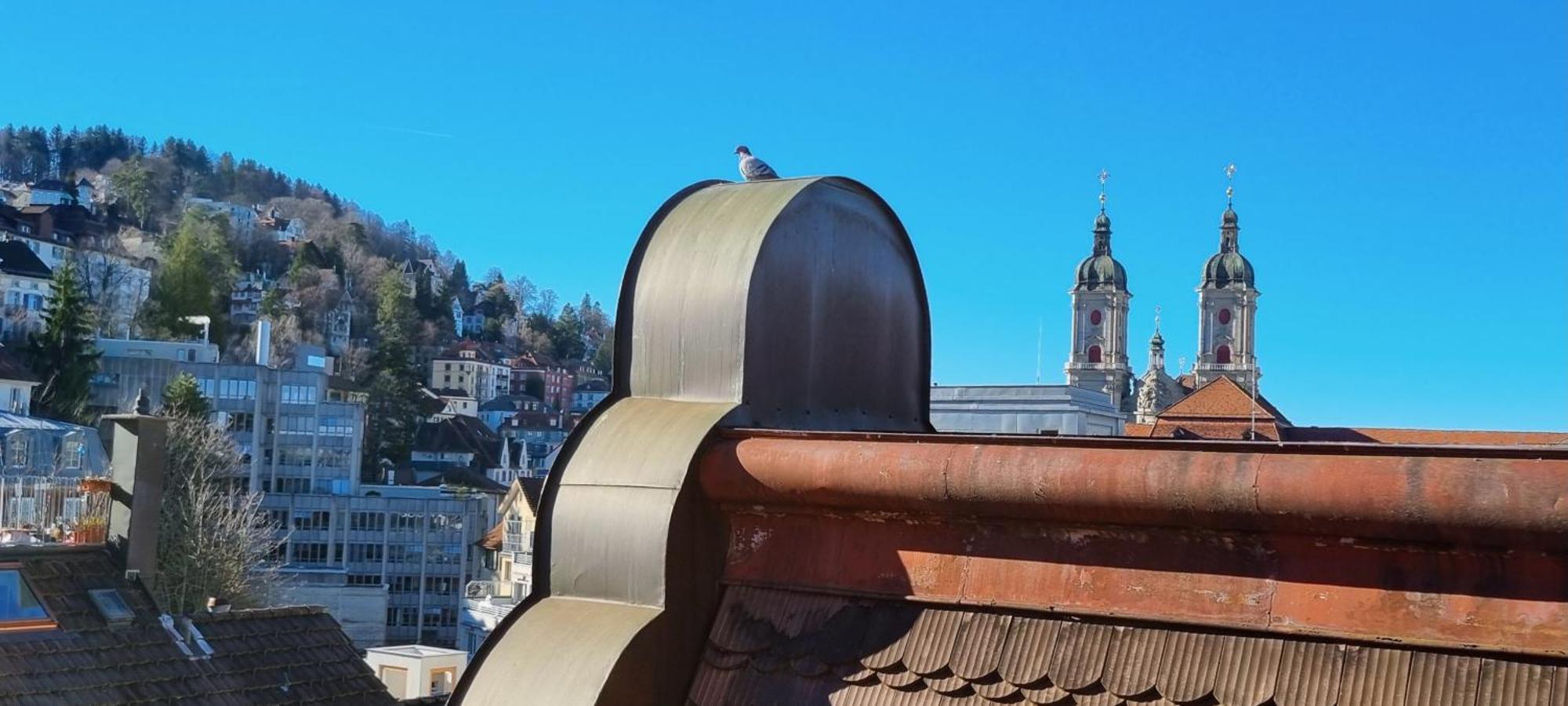 Ruhige, Neue Dachwohnung An Altstadt, Naehe Messe St. Gallen Exteriör bild
